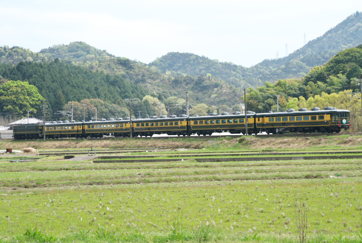 サロンカーなにわ（伊予桜井～伊予三芳）瀬戸大橋線開業３０周年記念列車