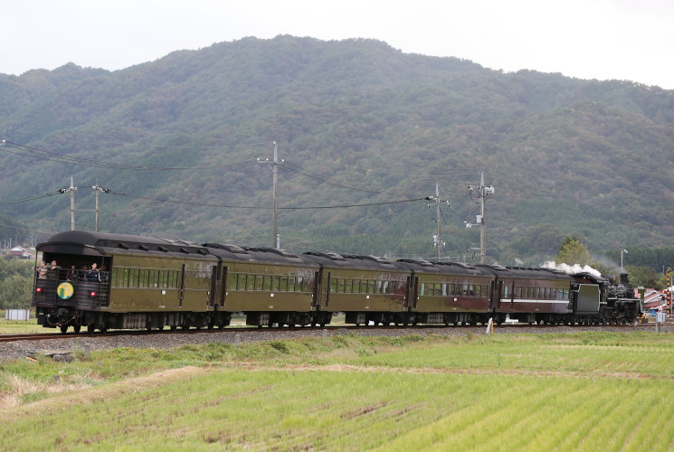 やまぐち号（地福～名草）