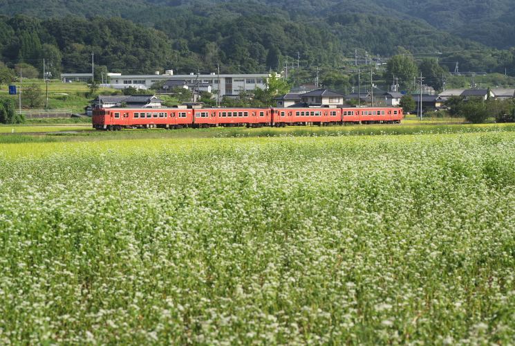 津山線９５７Ｄ列車（誕生寺～弓削）