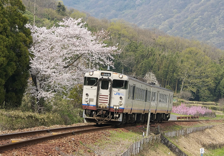 キハ４７（玉柏～牧山）津山線