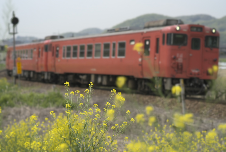 津山線玉柏にて