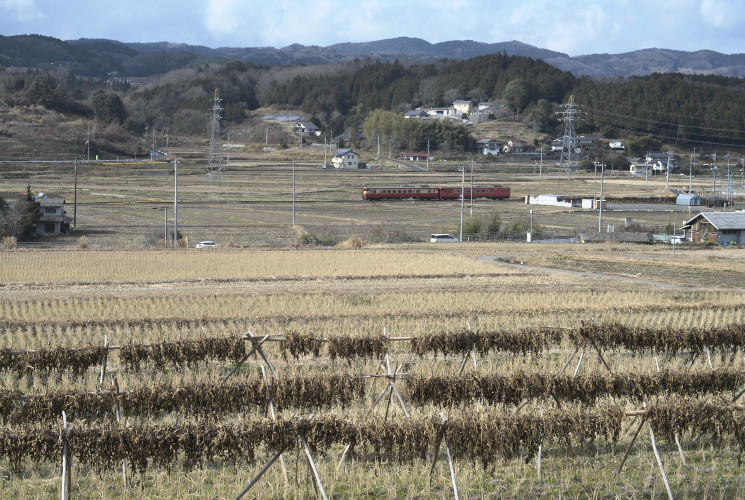 弓削の田園風景（津山線）