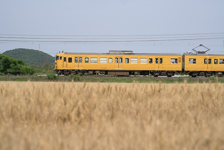 １１５系電車（上道～瀬戸）