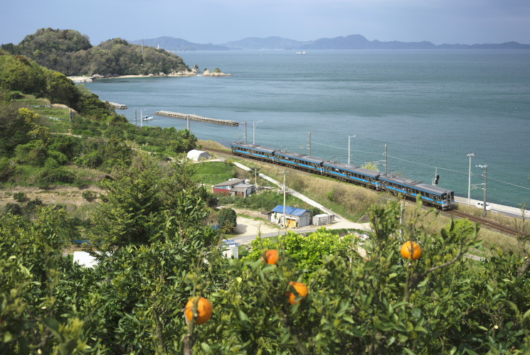 予讃線下り電車（大浦～浅海）