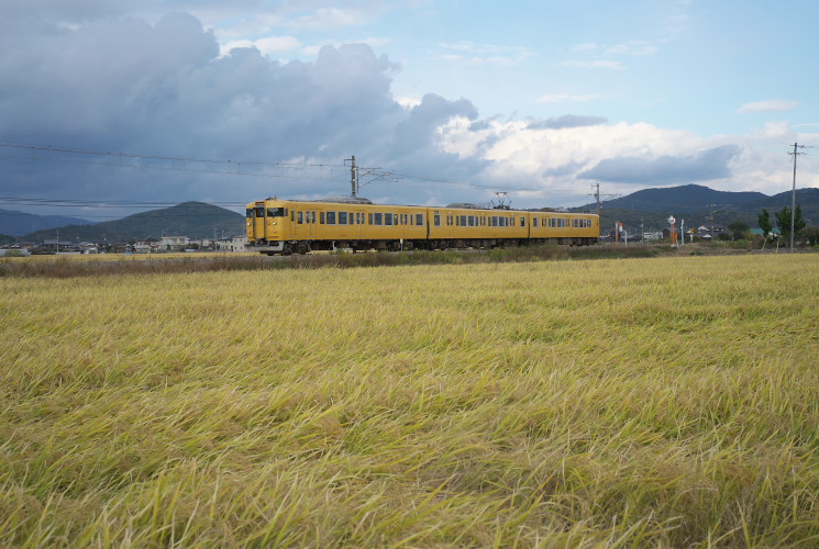 １１５系電車（大富～邑久）