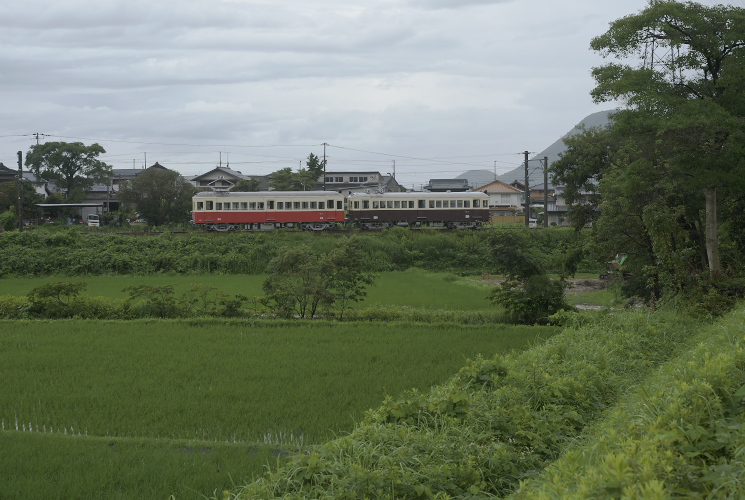 高松琴平電鉄貸切列車（栗熊～岡田）