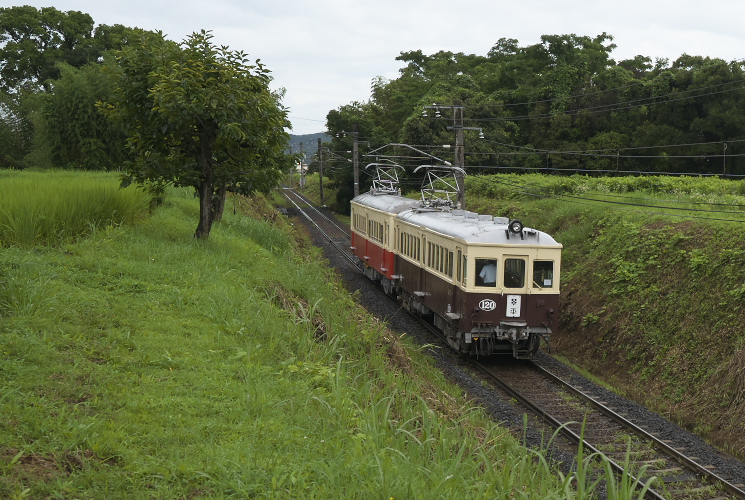 ことでん２３号