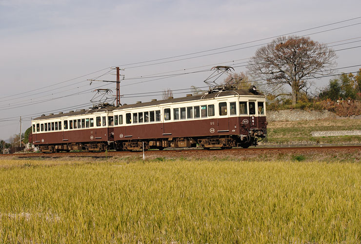 琴電３１５号（学園通り～白山）