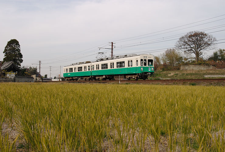 琴電６００形（６０９＋６１０）学園通り～白山