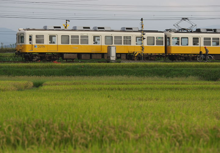 琴電１０００形（陶～畑田）