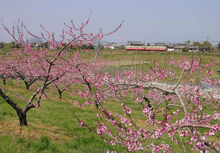 高松琴平電気鉄道琴平線沿線（岡田～栗熊）