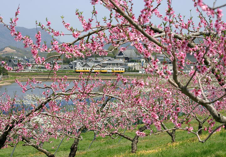 高松琴平電気鉄道琴平線沿線（岡田～栗熊）