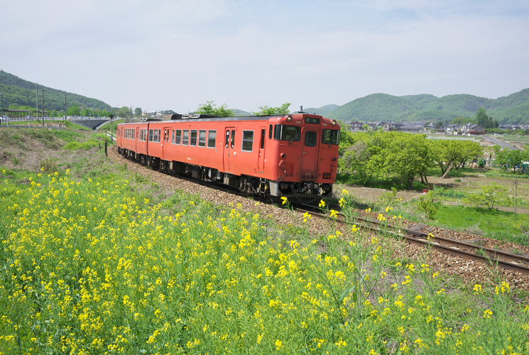 玉柏にて（レンズ35ｍｍ）