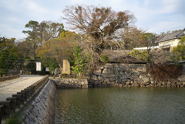 岡山城内堀（岡山市内山下）