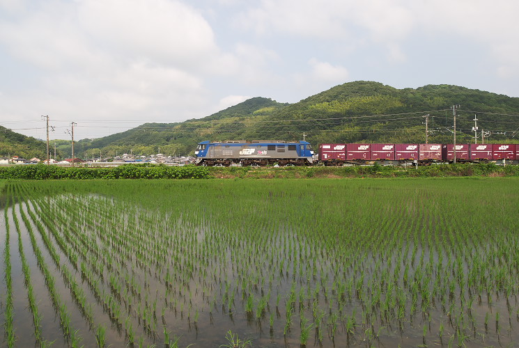 ＥＦ２１０形（淺小田踏切付近）