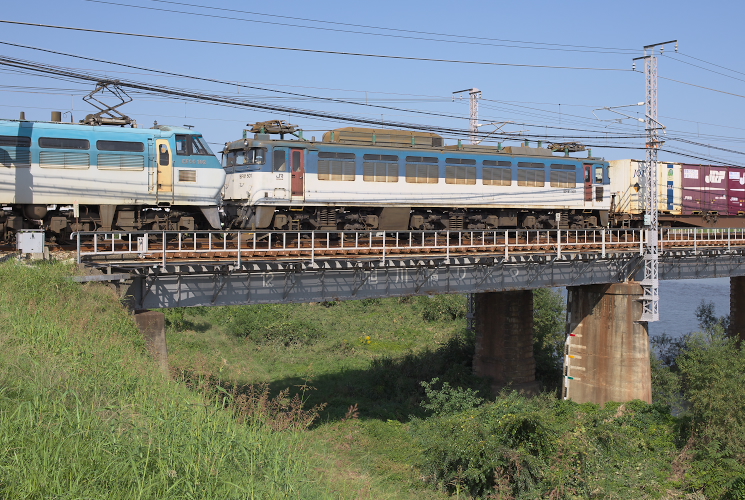 ＥＦ８１　５０１