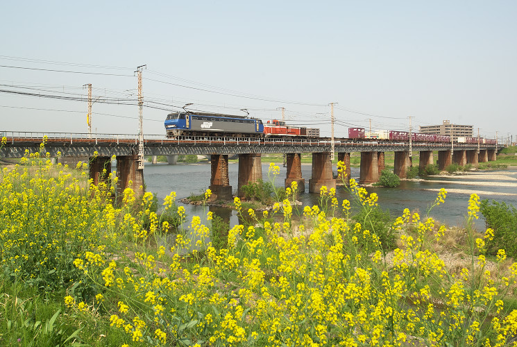 下り貨物列車