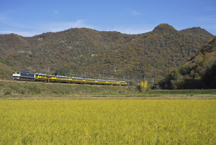 サロンカー「なにわ」９３０３列車（ＥＦ６５　１１３３）上郡～三石