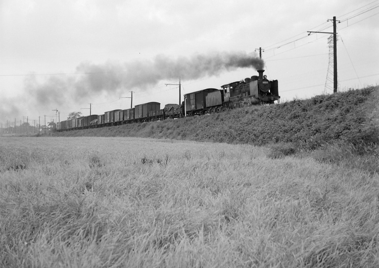 福塩線貨物列車（４８６２８）備後本庄～横尾