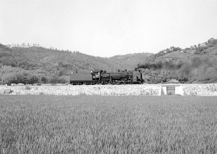 赤穂線Ｄ５１入線（大多羅～東岡山）線路踏固のため