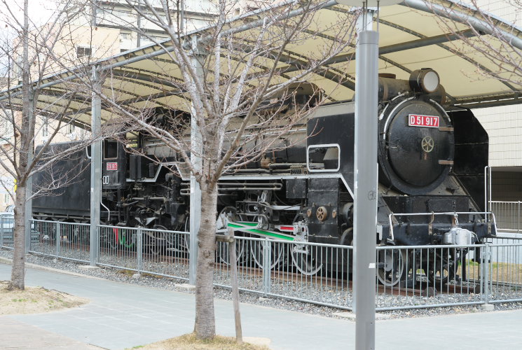 D51 917号