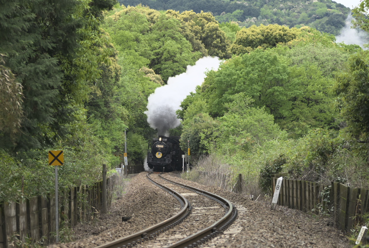 下りやまぐち号（Ｄ５１）