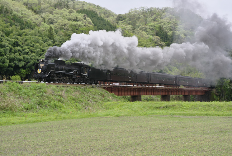 Ｄ５１　２００