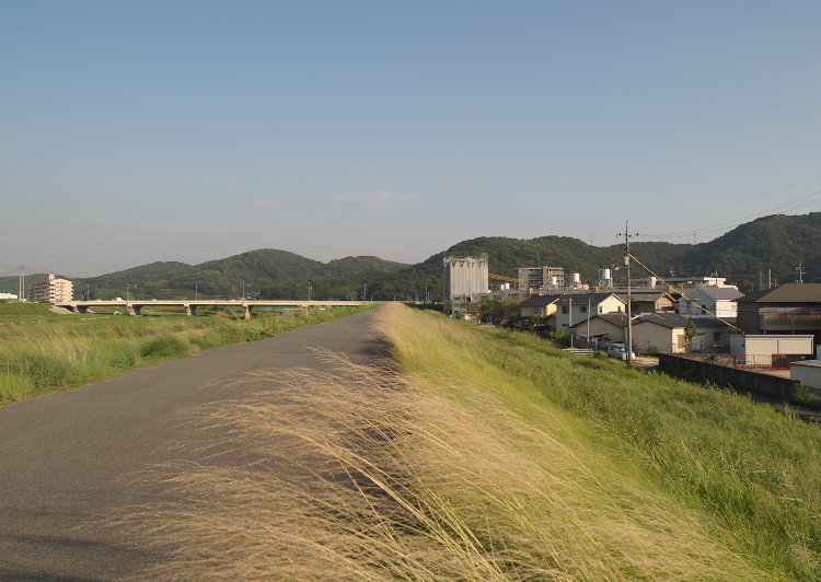 百間川右岸堤防