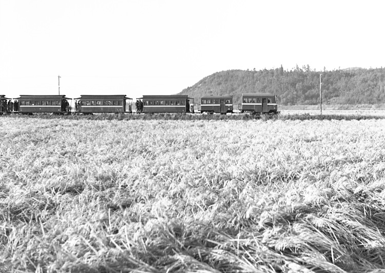 西大寺鉄道（大多羅～長利）