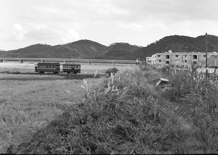 百間川右岸堤防