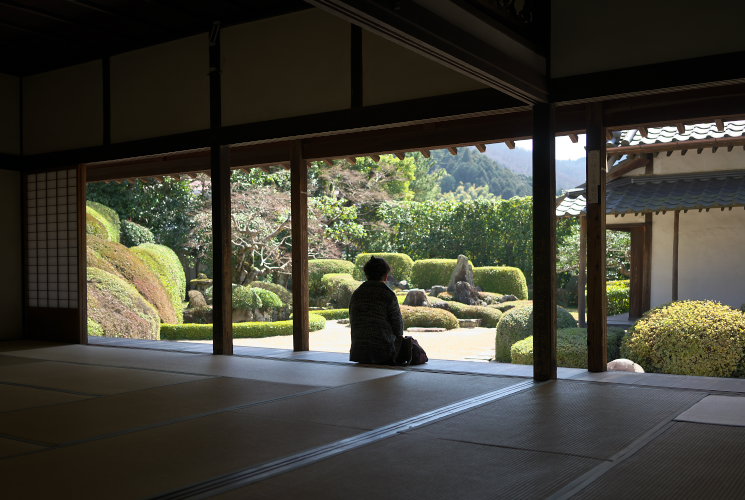 頼久寺の庭