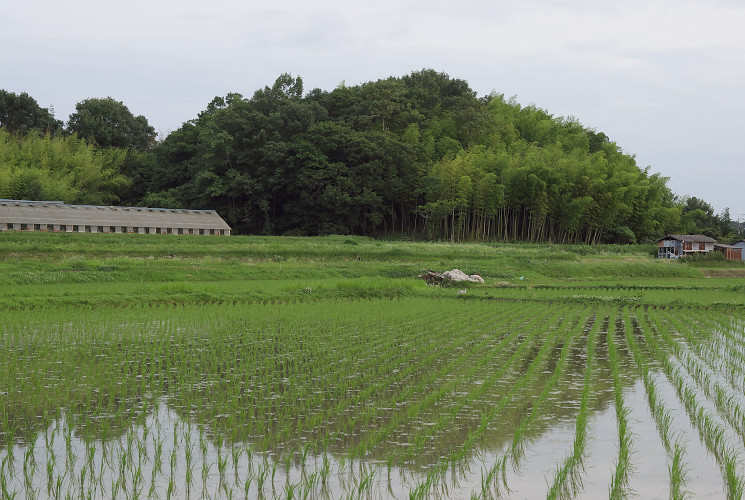 小盛山古墳