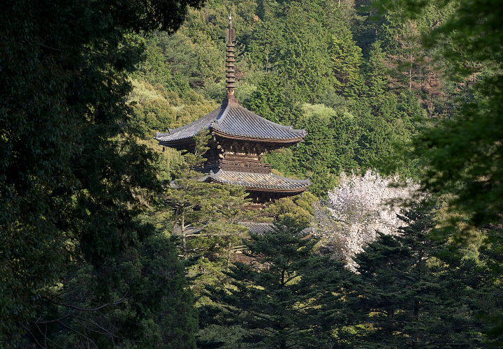 大滝山三重塔