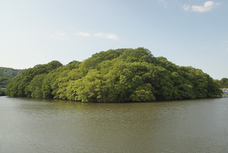 両宮山古墳