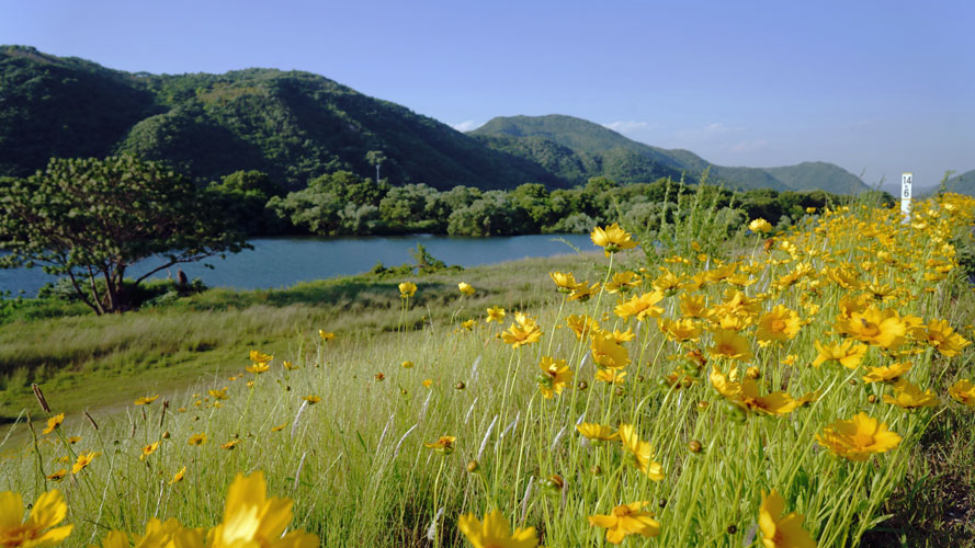 宗谷山公園から岡山市を俯瞰する．（岡山市北区）