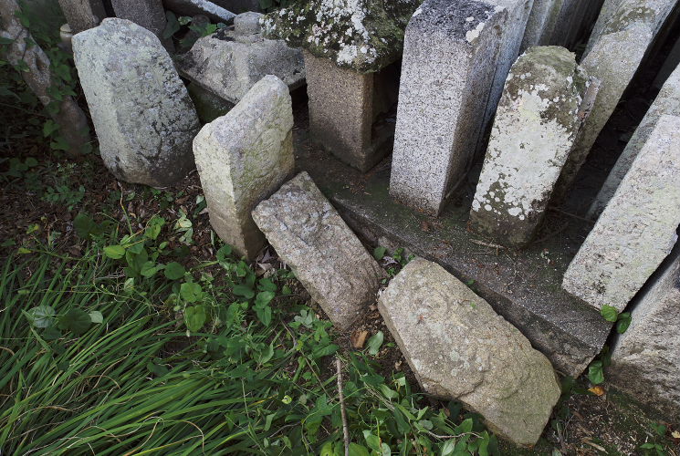 真福禅寺