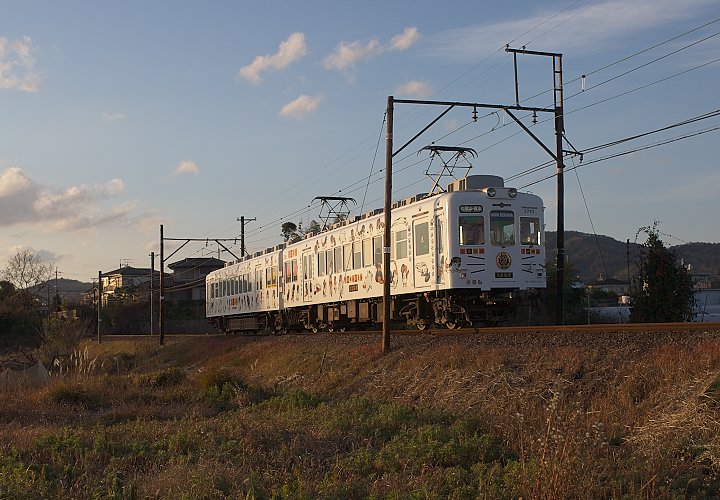 たま電車