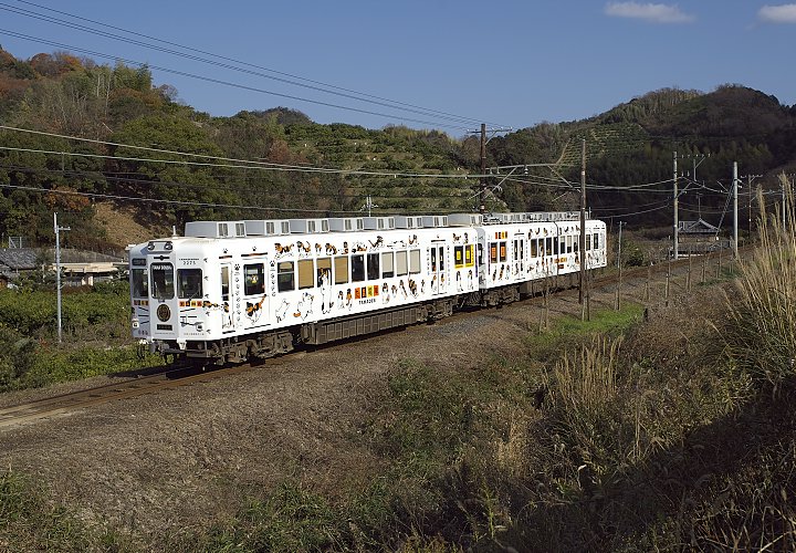 大池遊園付近